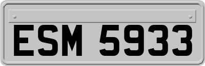 ESM5933