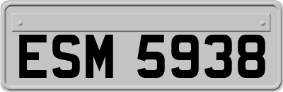 ESM5938
