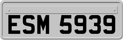 ESM5939