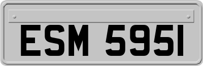 ESM5951