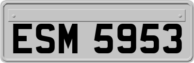 ESM5953
