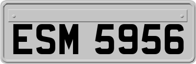 ESM5956
