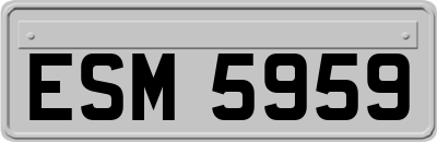 ESM5959