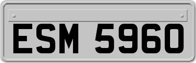 ESM5960