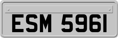 ESM5961