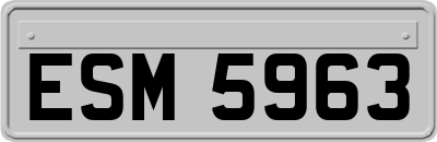 ESM5963