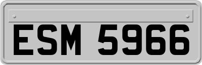 ESM5966