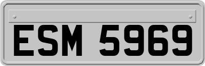 ESM5969
