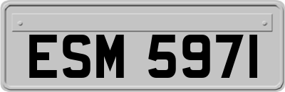 ESM5971