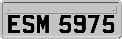 ESM5975