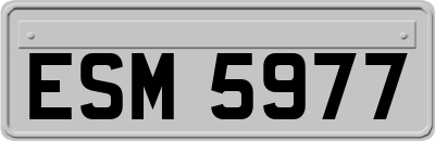 ESM5977