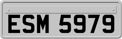 ESM5979