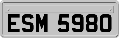 ESM5980