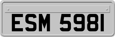 ESM5981
