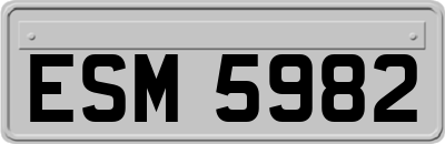 ESM5982