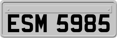 ESM5985