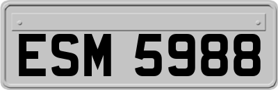 ESM5988