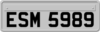 ESM5989