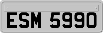ESM5990