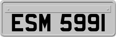ESM5991