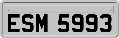 ESM5993