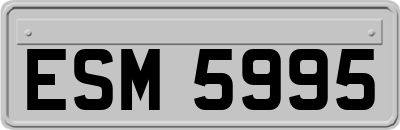 ESM5995