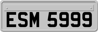 ESM5999