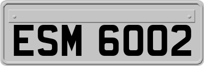 ESM6002