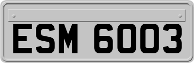 ESM6003