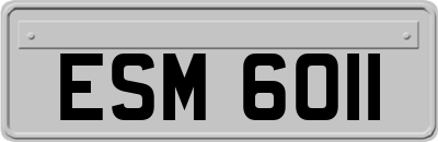 ESM6011