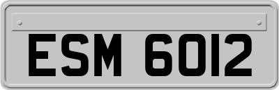 ESM6012