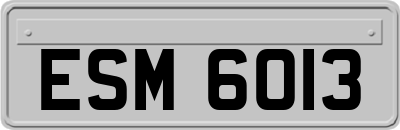 ESM6013