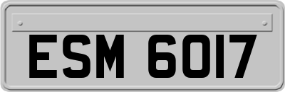 ESM6017