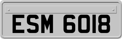 ESM6018