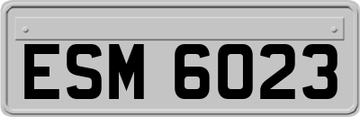 ESM6023