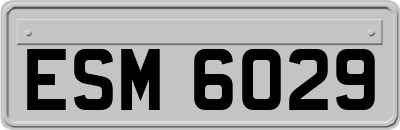 ESM6029