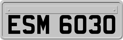 ESM6030