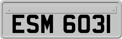 ESM6031
