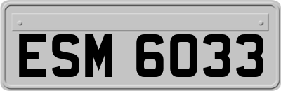 ESM6033