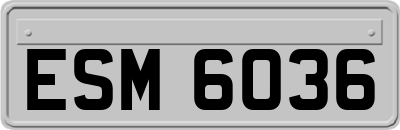ESM6036