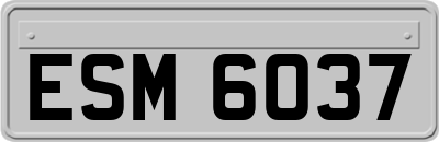 ESM6037