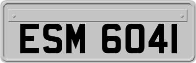 ESM6041