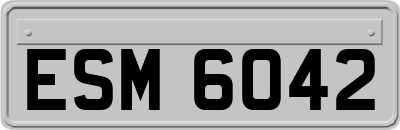 ESM6042