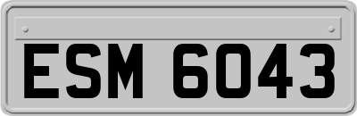 ESM6043