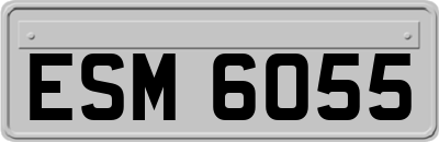 ESM6055