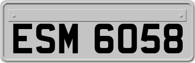 ESM6058