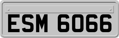 ESM6066
