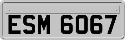 ESM6067