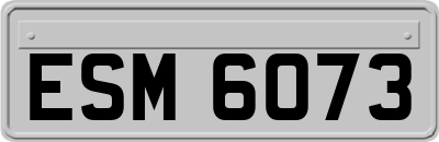 ESM6073