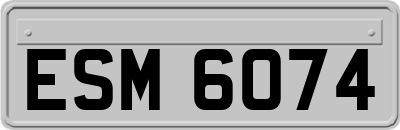 ESM6074